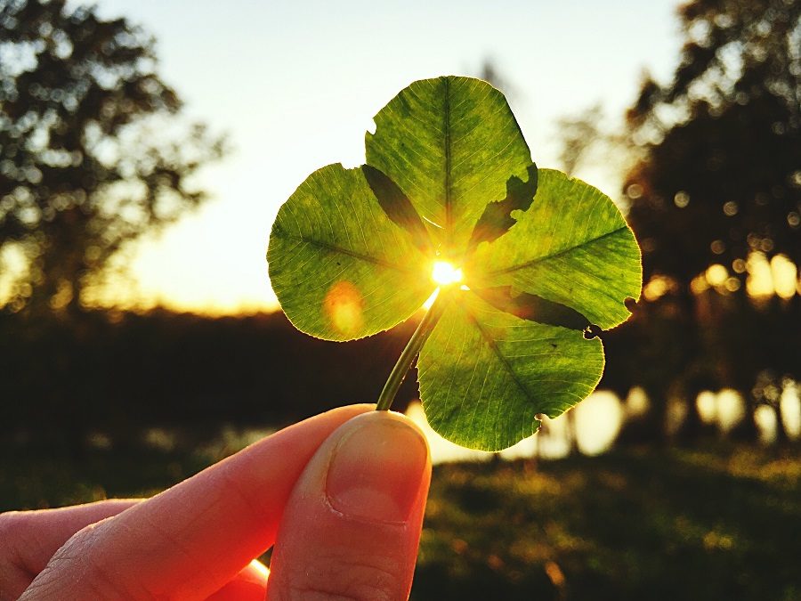 The nature of luck and importance of perseverance